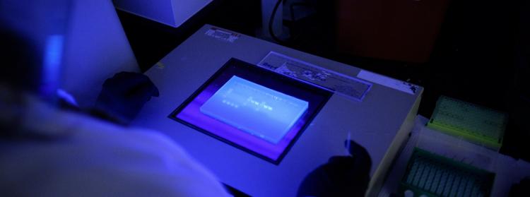 Lab equipment screen in blue light