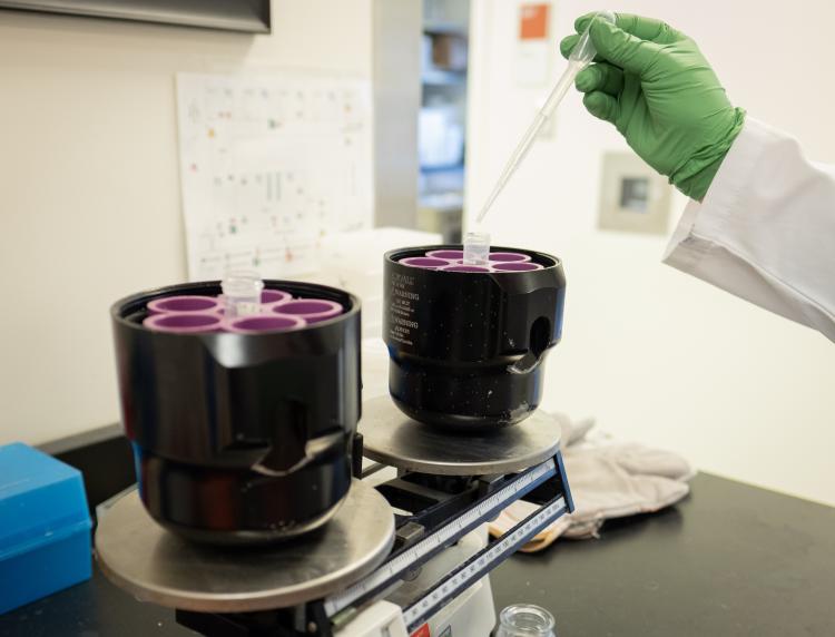 A lab worker wearing a green latex glove squeezes liquid from a pipette into cylinders