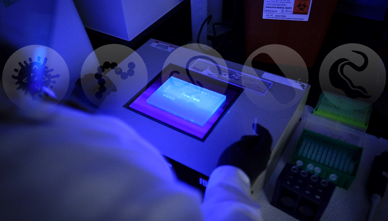 gel imaging fade