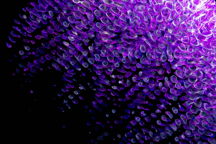 purple abstract