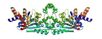 Protein logo