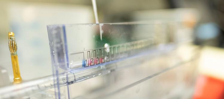 Close-up of gel being inserted into a test tube