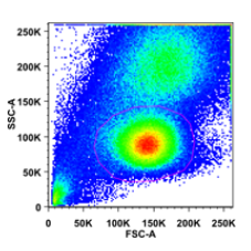 Close up image of an array of data on an X and Y scale