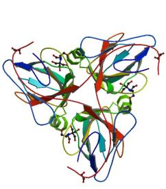 Structural Genomics Center logo featuring dna in a cluster